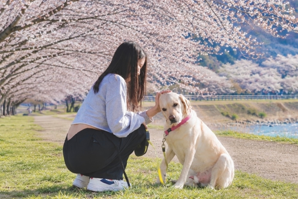 生き物とか存在がすきです（人間含む）